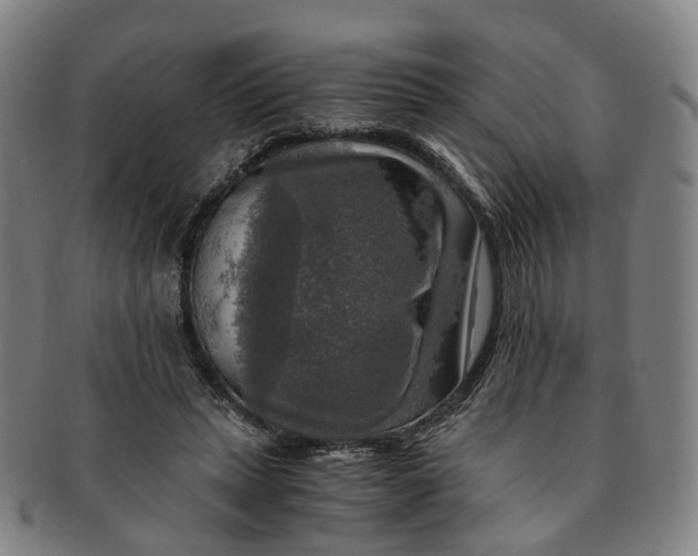 X0000091010447200708241516