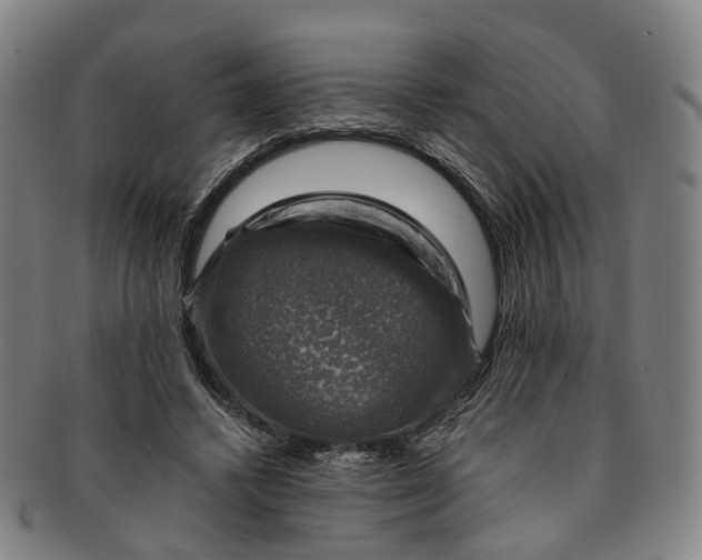 X0000091010448200708241516