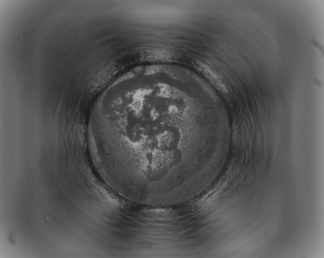 X0000091010449200708241516