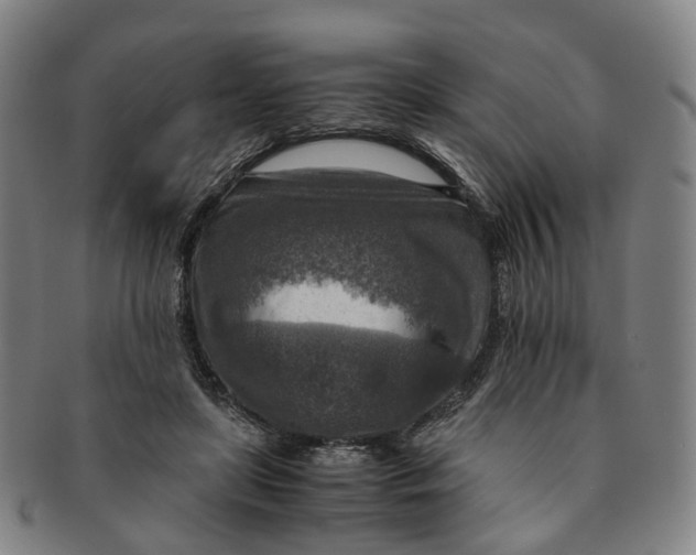 X0000091010451200708241516