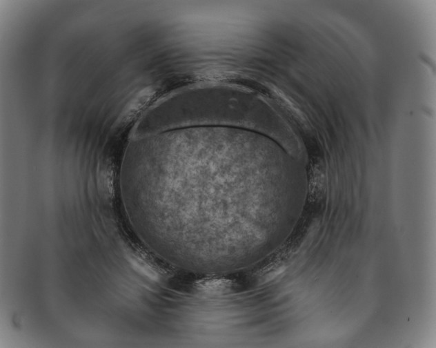 X0000091010452200708241516