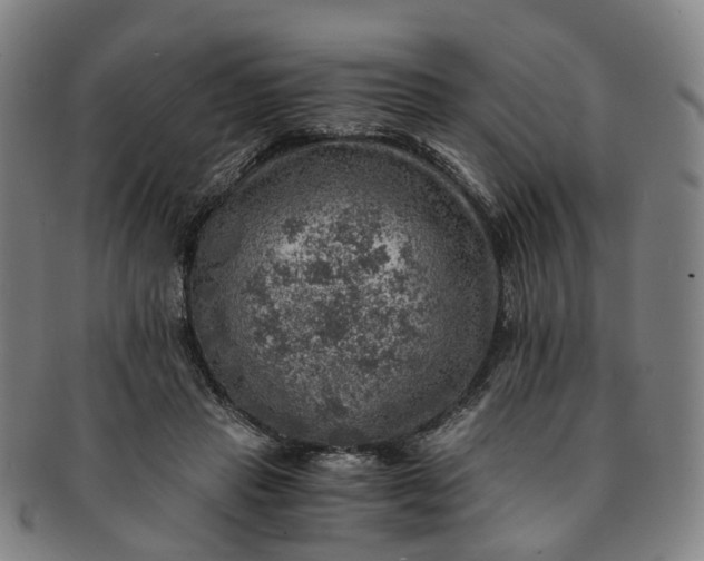 X0000091010453200708241516