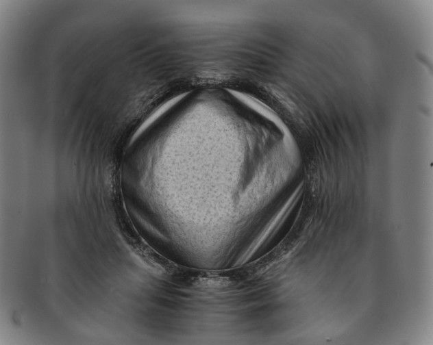 X0000091010455200708241516