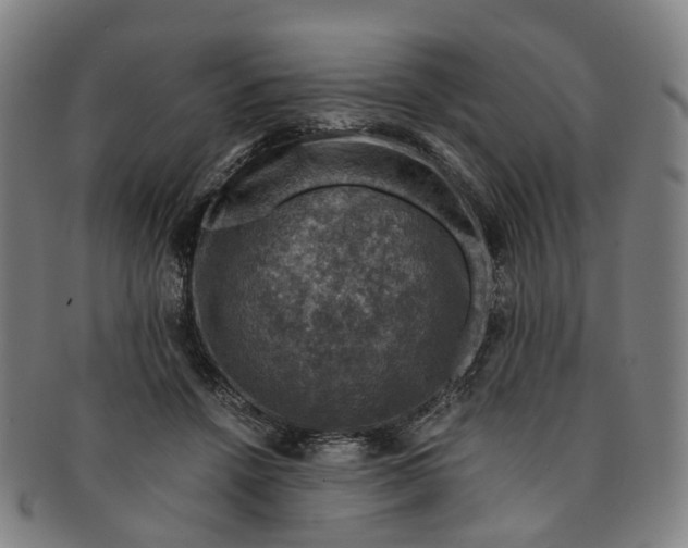 X0000091010456200708241516