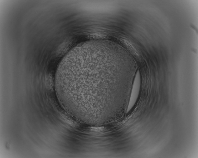 X0000091010457200708241516