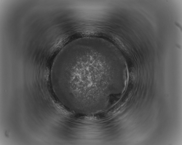 X0000091010458200708241516