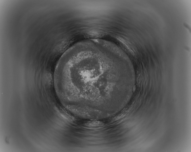 X0000091010459200708241516