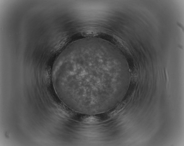 X0000091010460200708241516