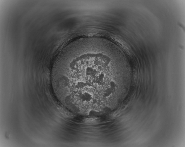 X0000091010461200708241516