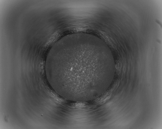 X0000091010462200708241516