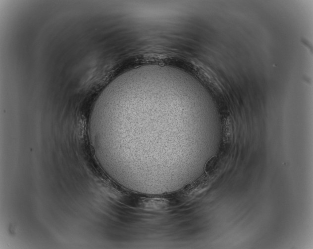 X0000091010463200708241516