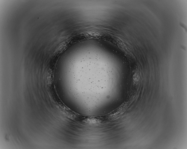 X0000091010464200708241516