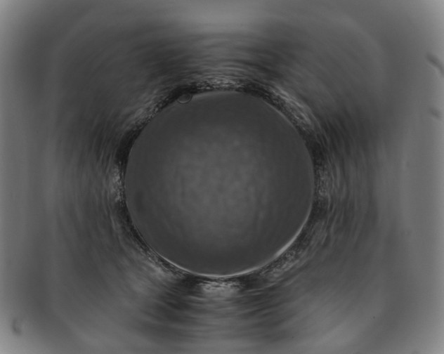 X0000091010465200708241516