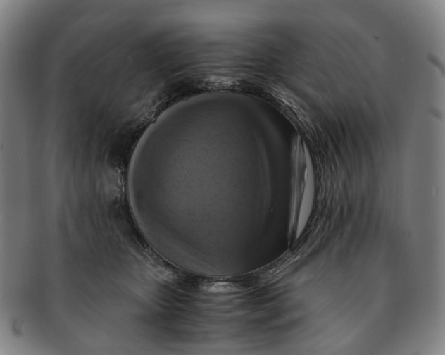 X0000091010467200708241516