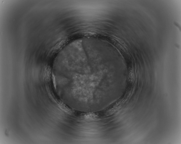 X0000091010468200708241516