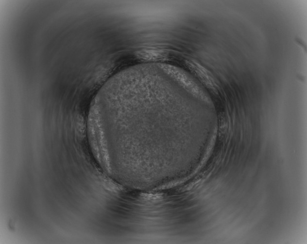 X0000091010469200708241516