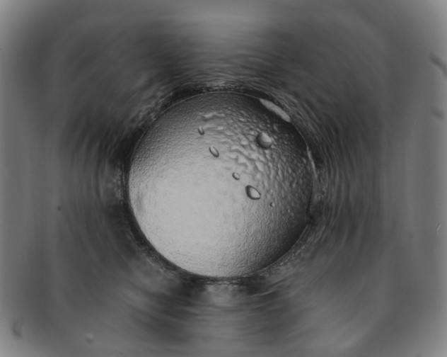 X0000091010470200708241516