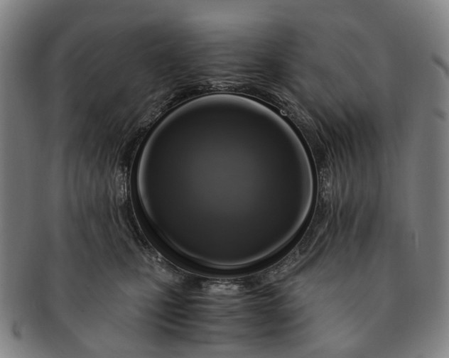 X0000091010471200708241516