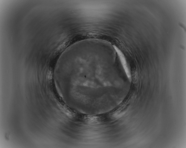 X0000091010472200708241516