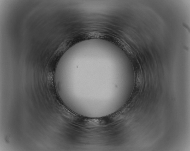 X0000091010473200708241516