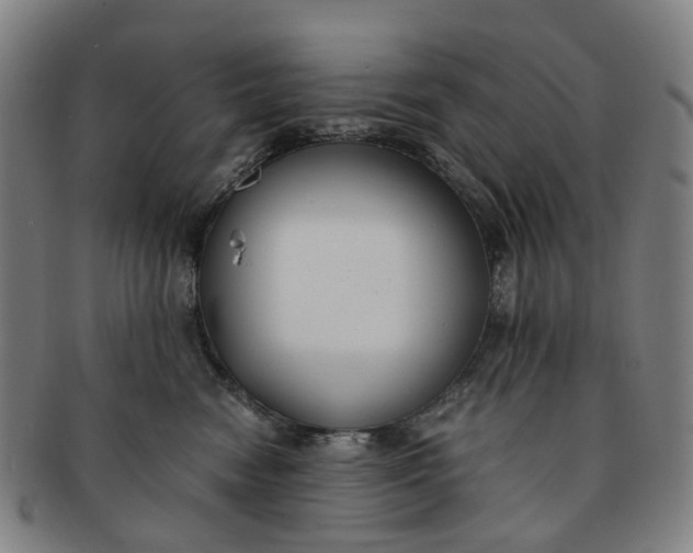 X0000091010474200708241516