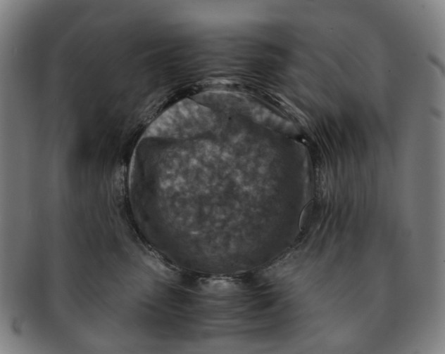 X0000091010475200708241516