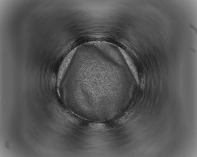 X0000091010476200708241516