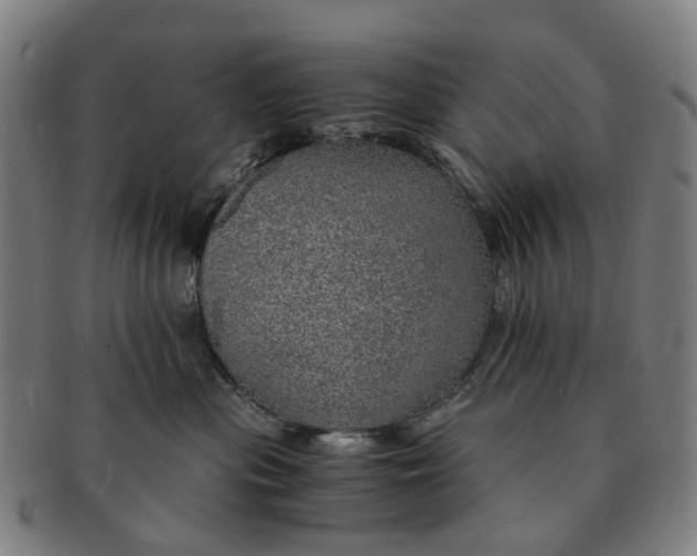 X0000091010477200708241516