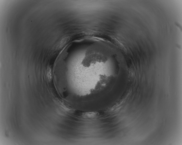 X0000091010479200708241516