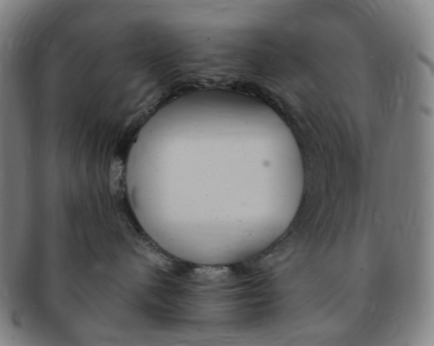 X0000091010480200708241516