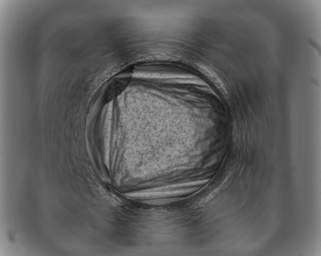 X0000091010481200708241516