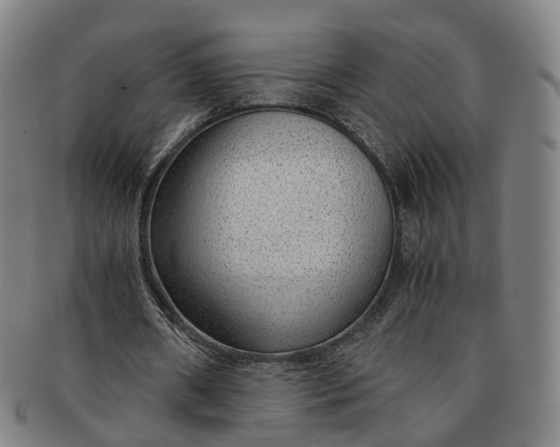 X0000091010482200708241516