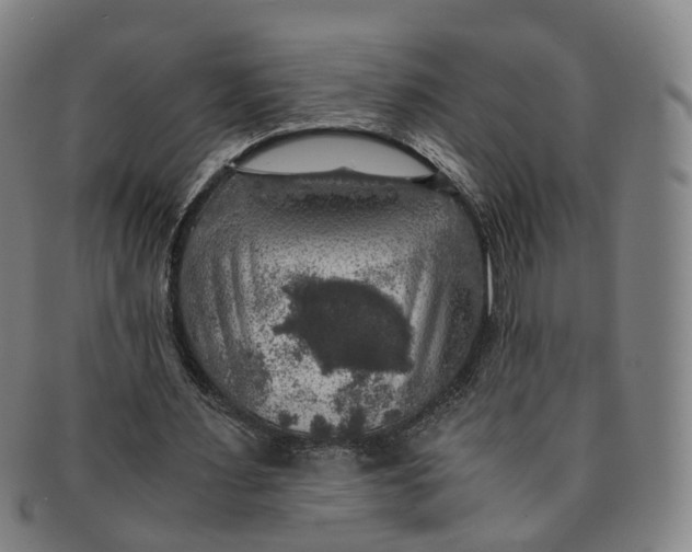 X0000091010483200708241516