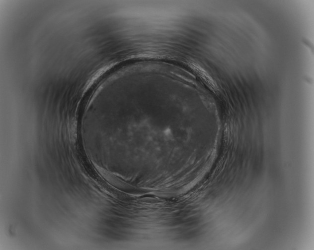 X0000091010484200708241516