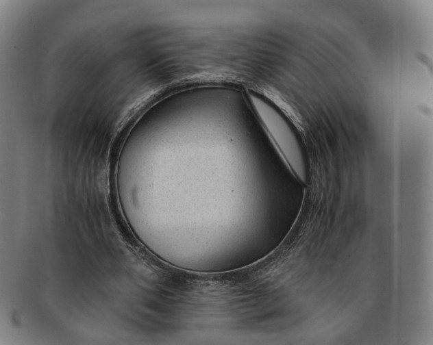 X0000091010486200708241516