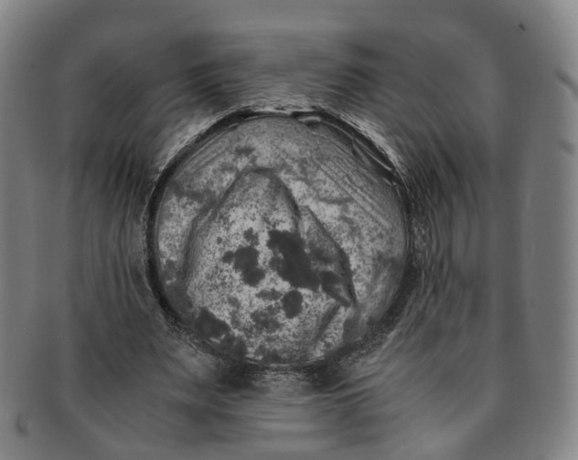 X0000091010487200708241516