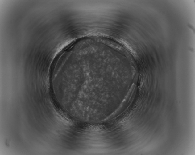 X0000091010488200708241516