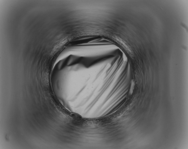 X0000091010489200708241516