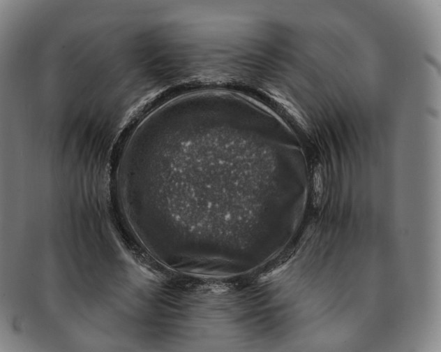 X0000091010492200708241516