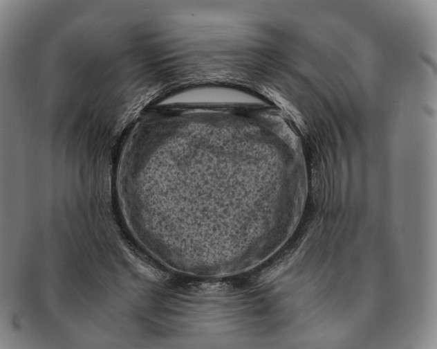 X0000091010493200708241516