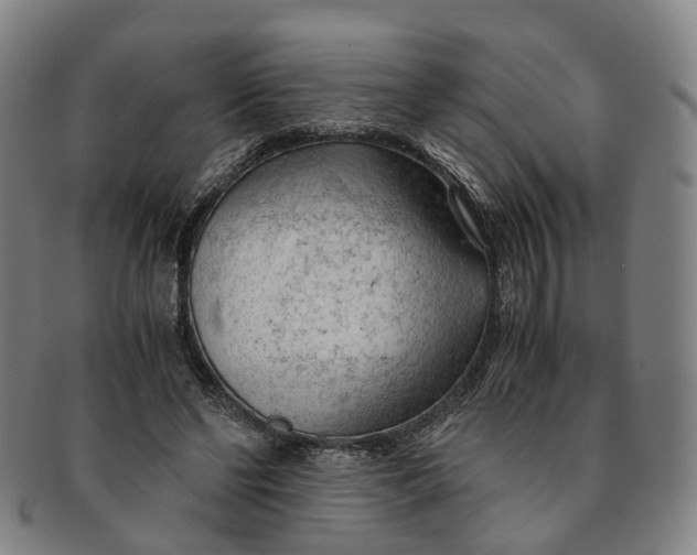 X0000091010494200708241516