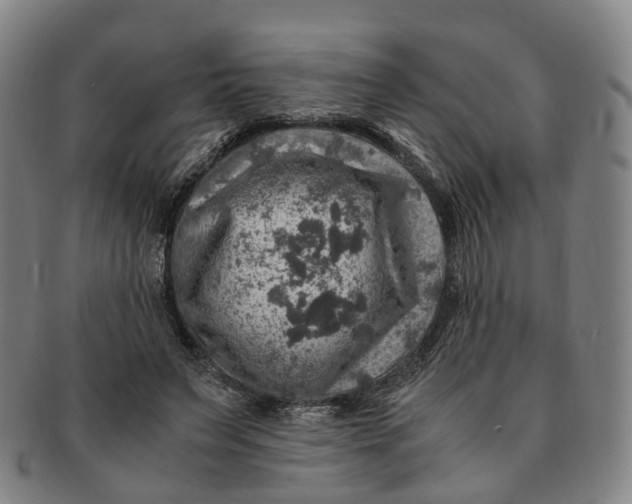 X0000091010495200708241516