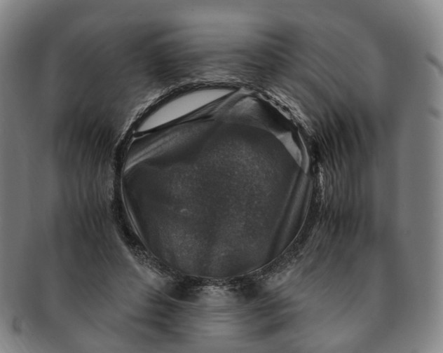 X0000091010496200708241516