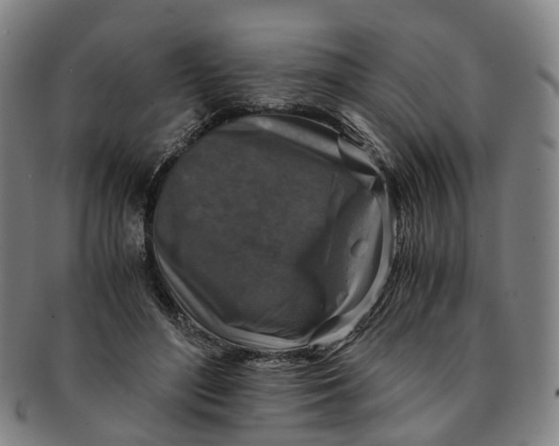 X0000091010500200708241516