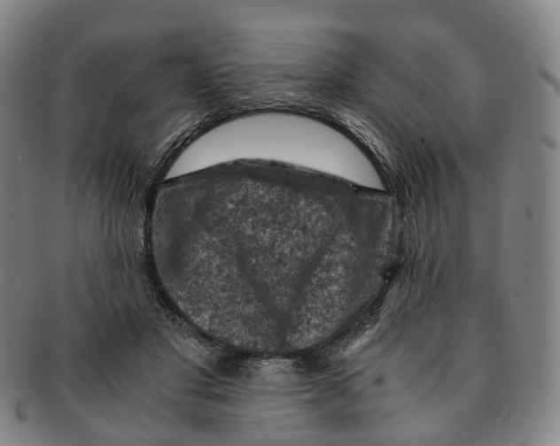 X0000091010501200708241516