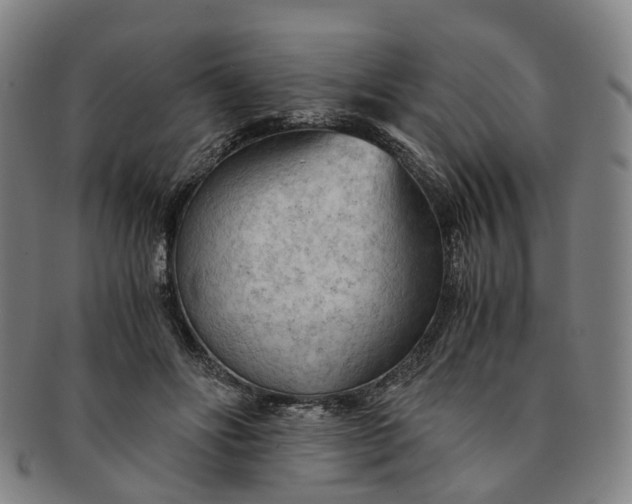 X0000091010502200708241516