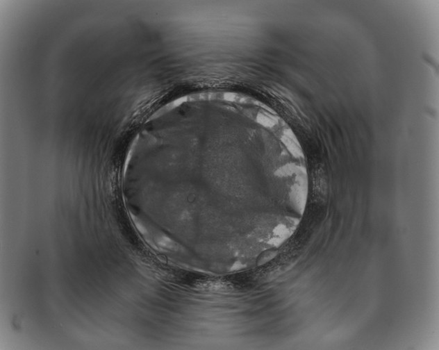 X0000091010503200708241516