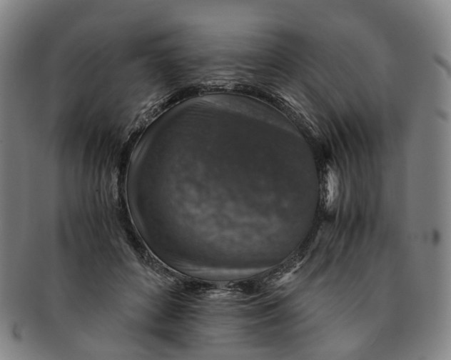 X0000091010504200708241516