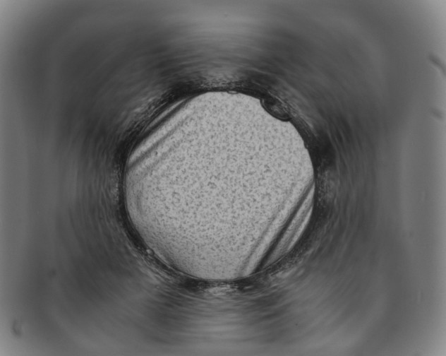 X0000091010505200708241515