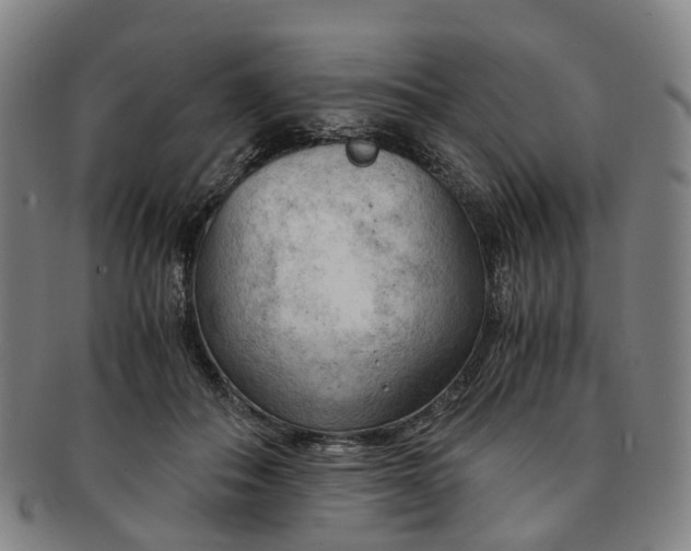 X0000091010506200708241515